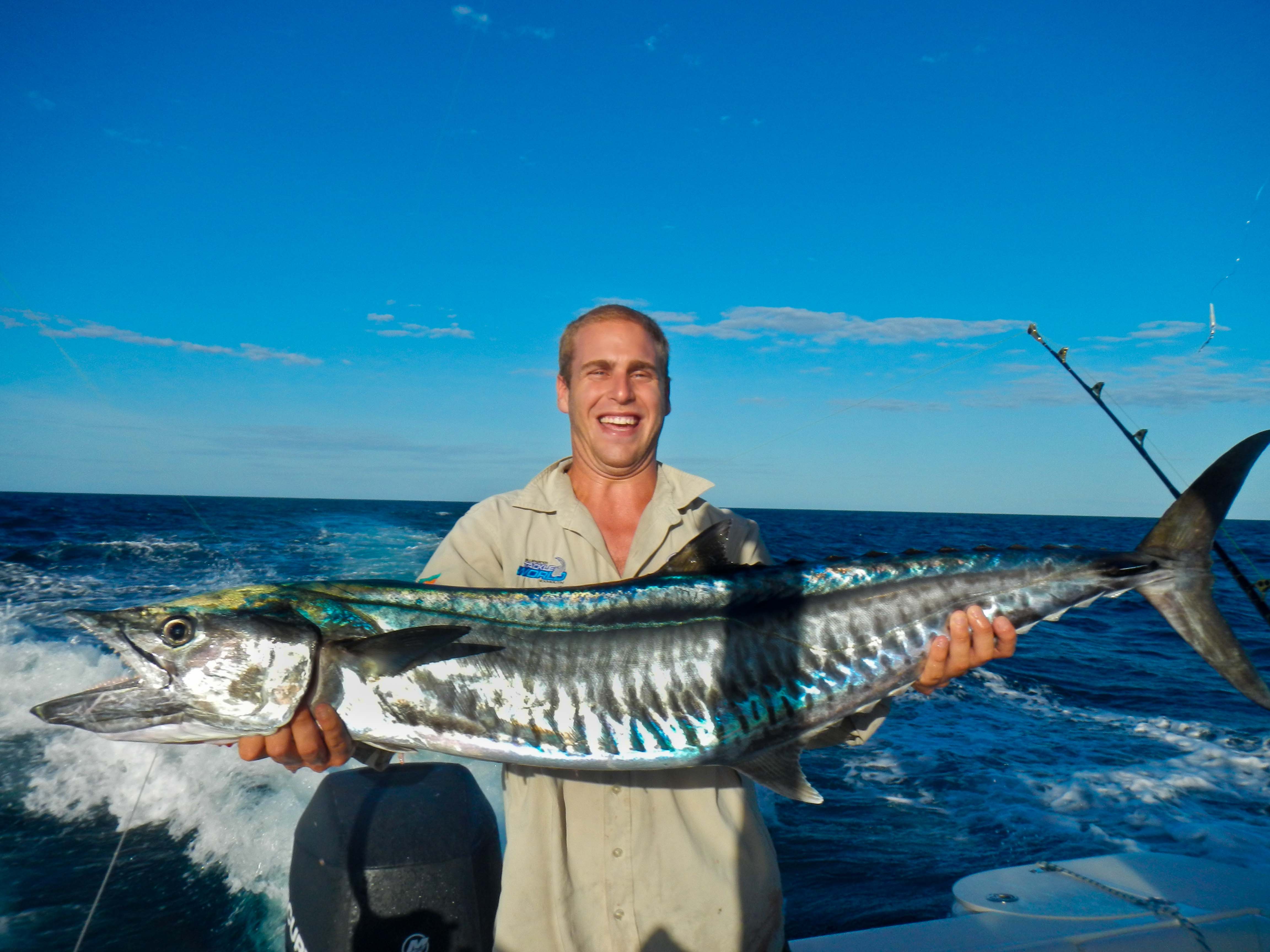 Spanish Mackerel Fishtrack Com